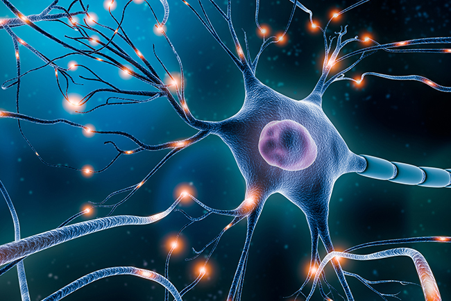 Neurology Doctor in Nashik